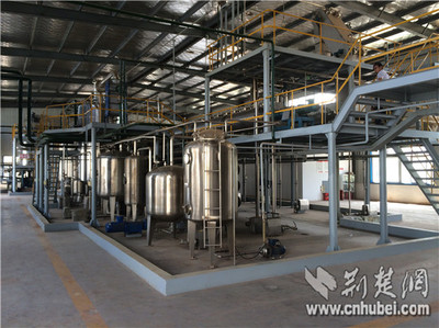 湖北省同心院士專(zhuān)家服務(wù)團(tuán)服務(wù)獻(xiàn)智助企業(yè)創(chuàng)新發(fā)展