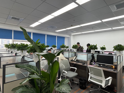 上海屹坦商務咨詢 專業服務助力企業高效發展